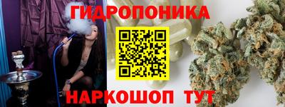 прущие грибы Камышлов