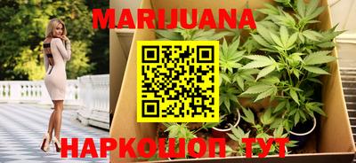 прущие грибы Камышлов