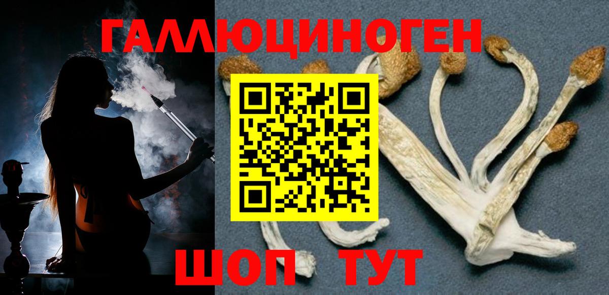 Псилоцибиновые грибы мицелий Джанкой