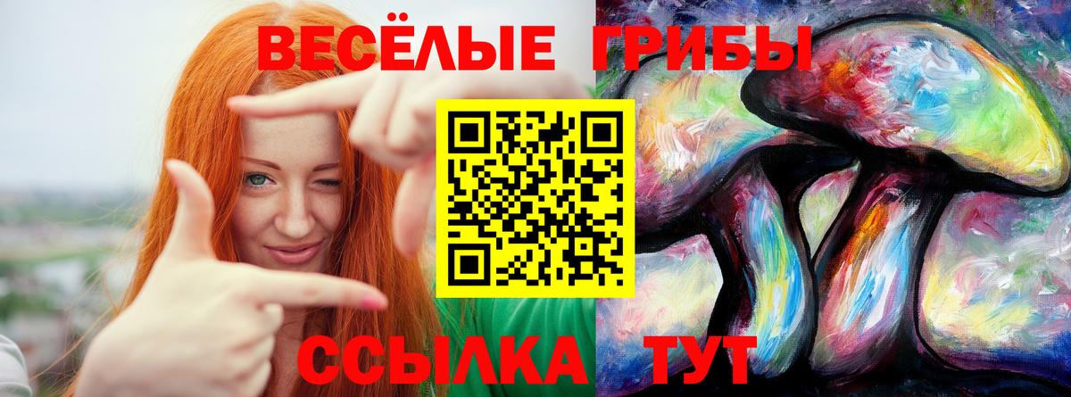 Галлюциногенные грибы ЛСД  Вход с VPN  Джанкой 